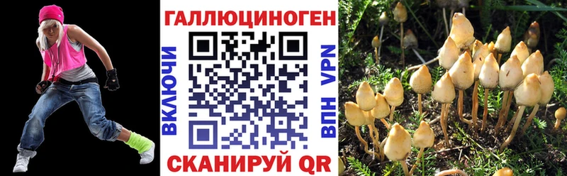 Галлюциногенные грибы Cubensis  Купить закладки  Волгореченск 